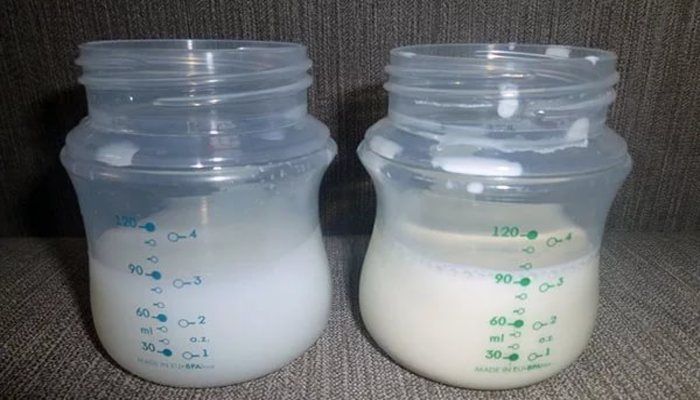 Переднее и заднее молоко