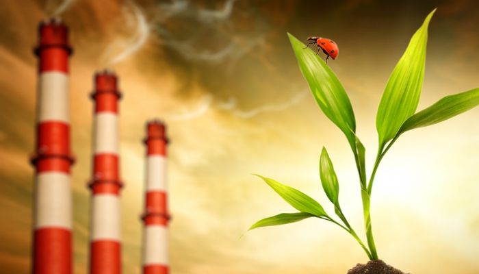 Плохая экология