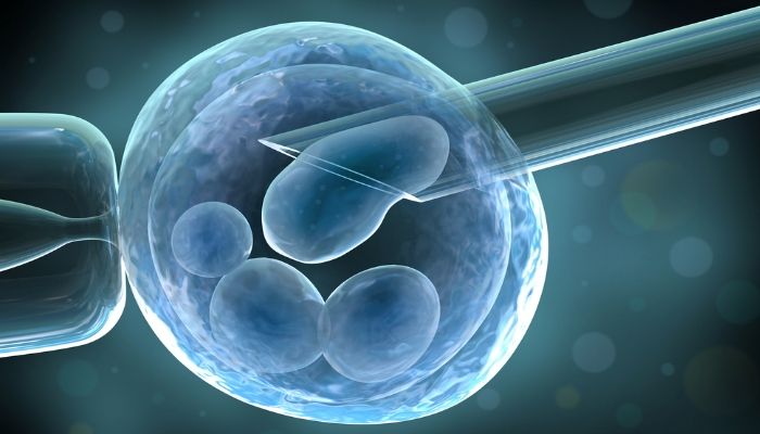 Сдача анализов