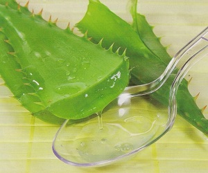 прыщи на висках лечение народными средствами