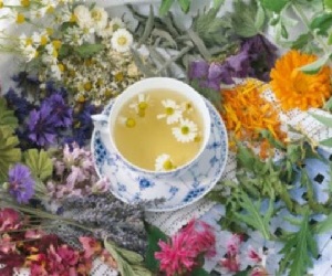 народные средства от аллергии на цветение