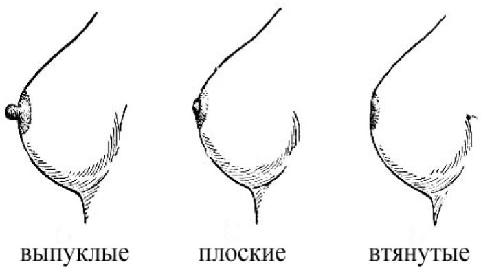 Формы сосков
