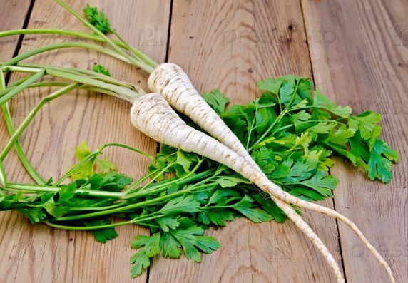 Корень петрушки