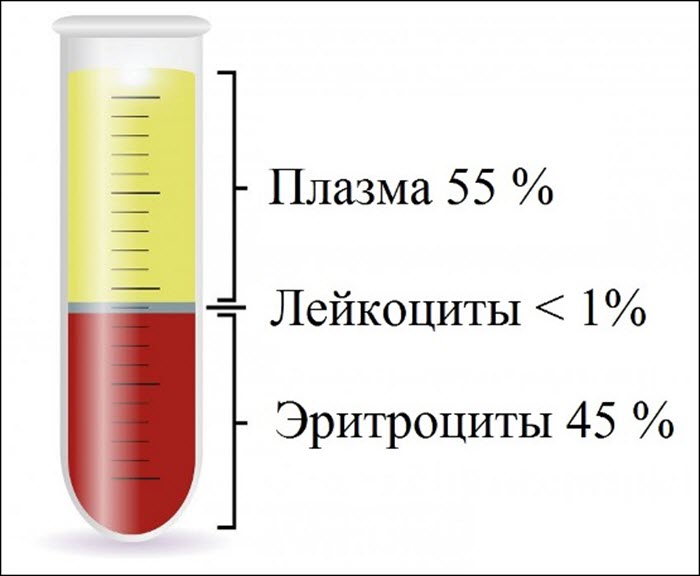 Состав крови