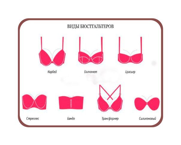 виды бюстгалтеров