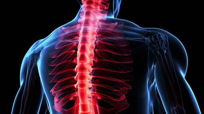 Преимущества МРТ позвоночника по сравнению с другими методами диагностики Преимущества МРТ позвоночника по сравнению с другими методами диагностики фото 1