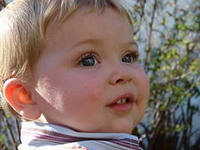 аллергия на укусы комаров у детей