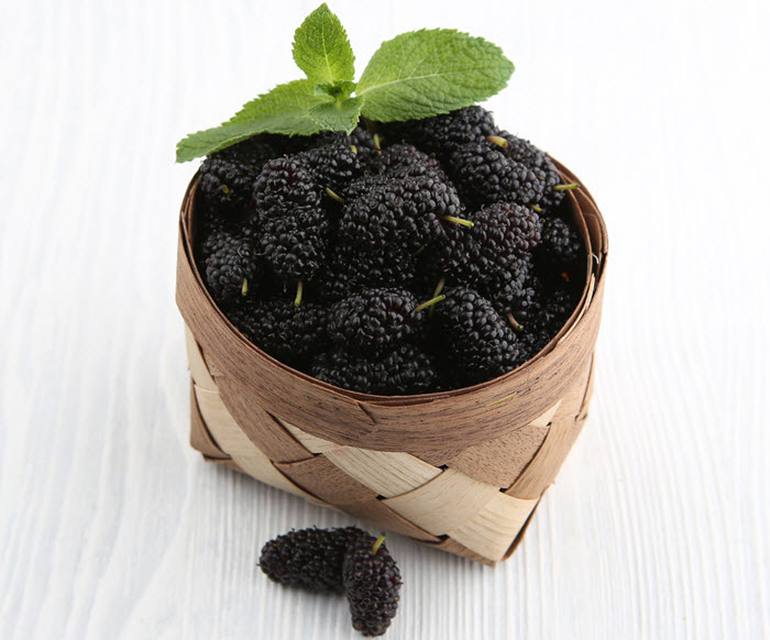 Ягоды шелковицы