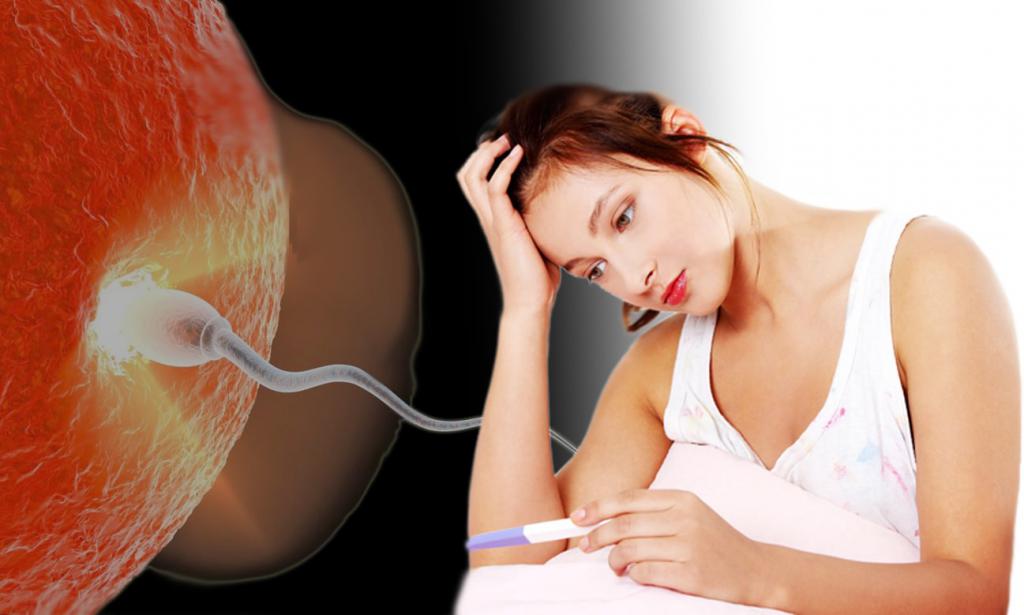 Расшифровка результатов Расшифровка результатов