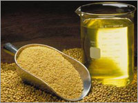 горчичное масло полезные свойства