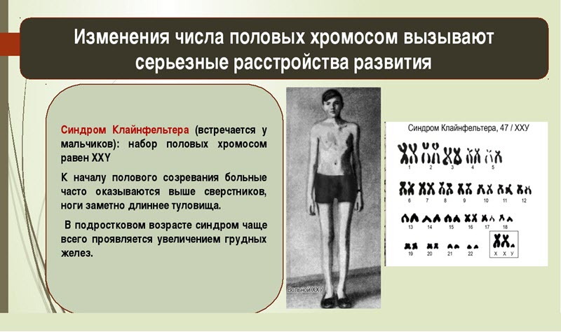 Изменение числа половых хромосом