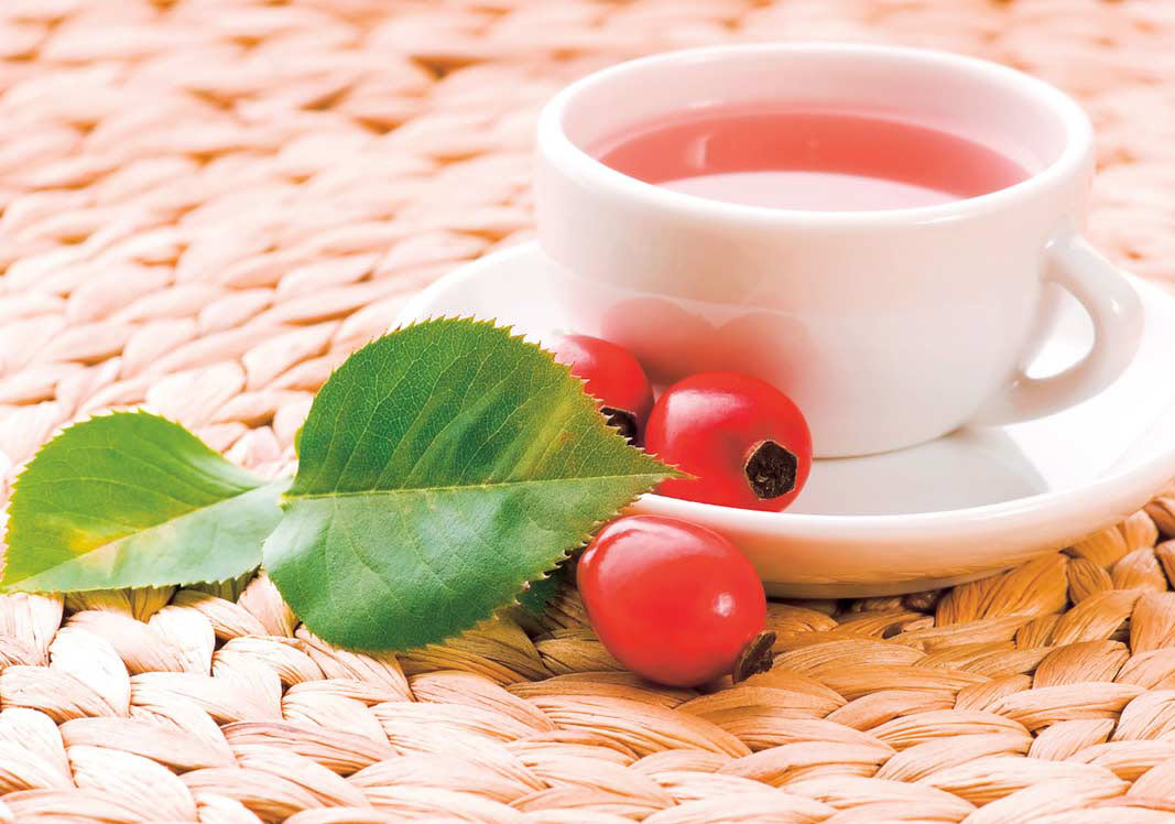 Настой шиповника