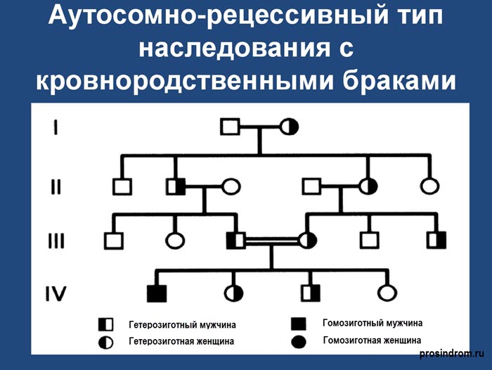 Аутосомно-рецессивное наследование
