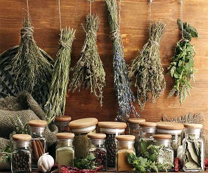 аллергия на амброзию лечение народными средствами